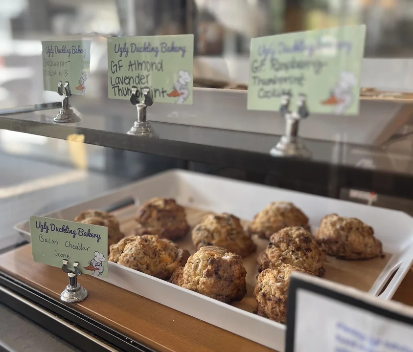 Cheddar Bacon Scones